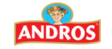 Andros logo site web